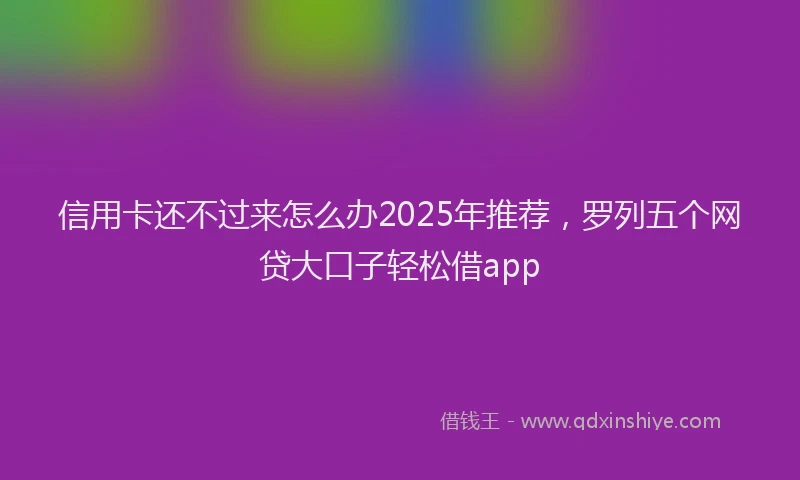 信用卡还不过来怎么办2025年推荐，罗列五个网贷大口子轻松借app