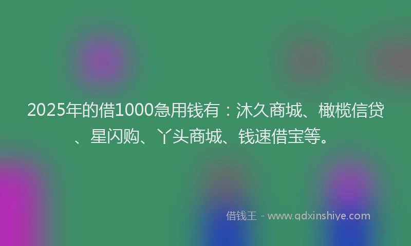 2025年的借1000急用钱有：沐久商城、橄榄信贷、星闪购、丫头商城、钱速借宝等。
