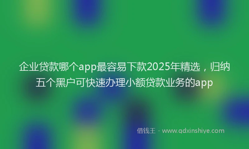 企业贷款哪个app最容易下款2025年精选，归纳五个黑户可快速办理小额贷款业务的app