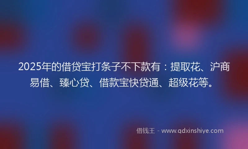 2025年的借贷宝打条子不下款有：提取花、沪商易借、臻心贷、借款宝快贷通、超级花等。