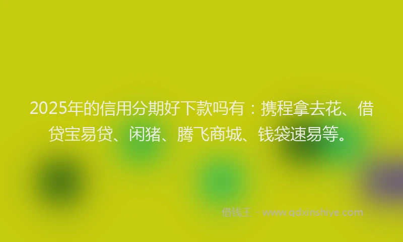 2025年的信用分期好下款吗有：携程拿去花、借贷宝易贷、闲猪、腾飞商城、钱袋速易等。