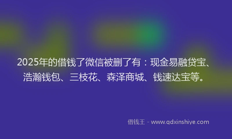 2025年的借钱了微信被删了有：现金易融贷宝、浩瀚钱包、三枝花、森泽商城、钱速达宝等。