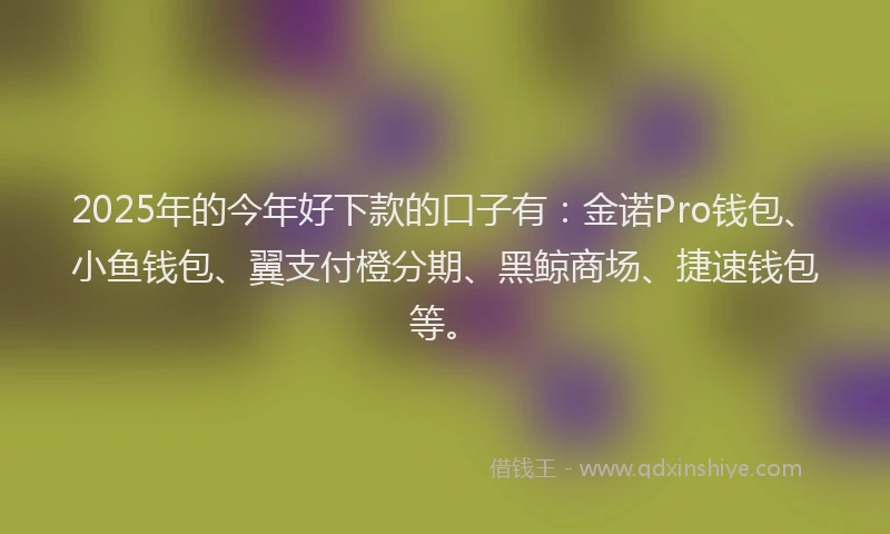 2025年的今年好下款的口子有：金诺Pro钱包、小鱼钱包、翼支付橙分期、黑鲸商场、捷速钱包等。