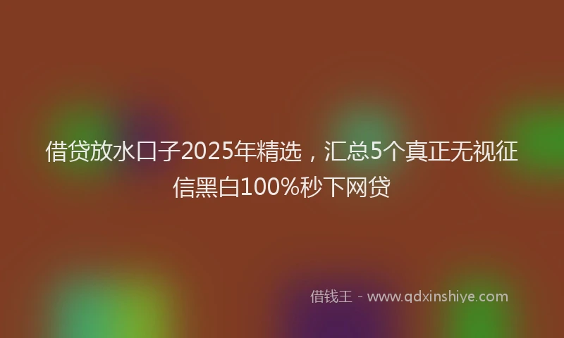 借贷放水口子2025年精选，汇总5个真正无视征信黑白100%秒下网贷