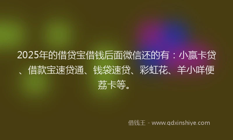 2025年的借贷宝借钱后面微信还的有：小赢卡贷、借款宝速贷通、钱袋速贷、彩虹花、羊小咩便荔卡等。