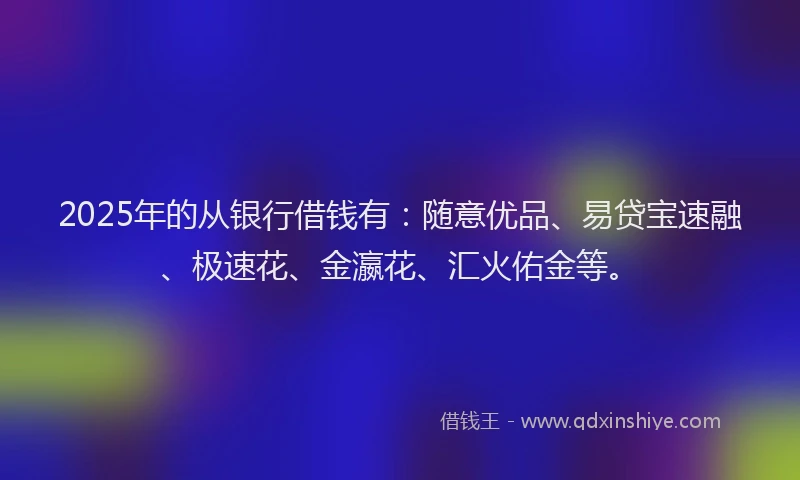 2025年的从银行借钱有：随意优品、易贷宝速融、极速花、金瀛花、汇火佑金等。