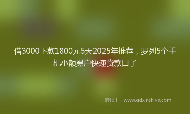 借3000下款1800元5天2025年推荐，罗列5个手机小额黑户快速贷款口子