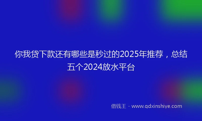 你我贷下款还有哪些是秒过的2025年推荐，总结五个2024放水平台
