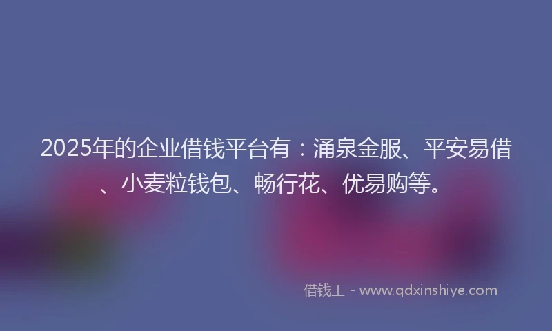 2025年的企业借钱平台有：涌泉金服、平安易借、小麦粒钱包、畅行花、优易购等。