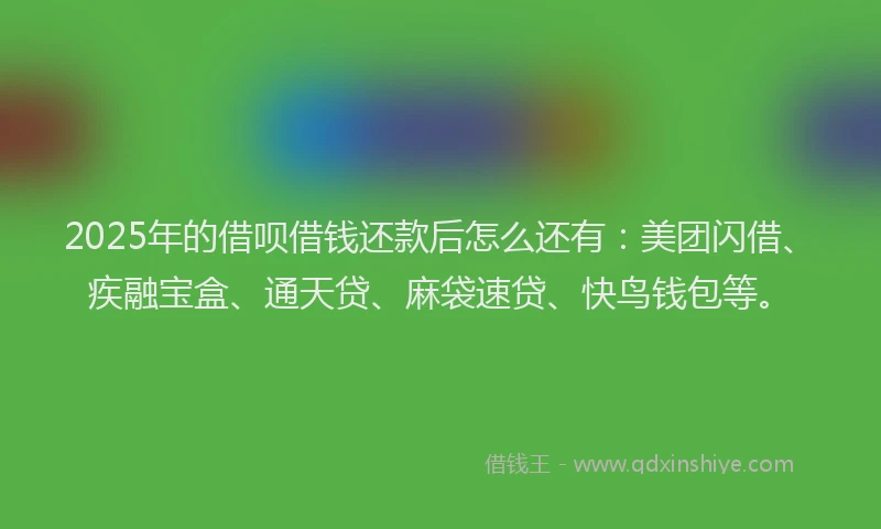 2025年的借呗借钱还款后怎么还有：美团闪借、疾融宝盒、通天贷、麻袋速贷、快鸟钱包等。