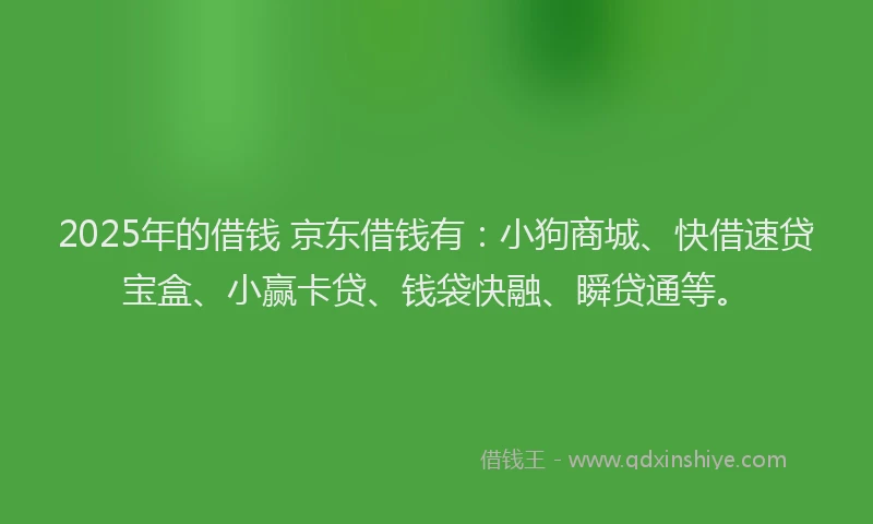 2025年的借钱 京东借钱有：小狗商城、快借速贷宝盒、小赢卡贷、钱袋快融、瞬贷通等。