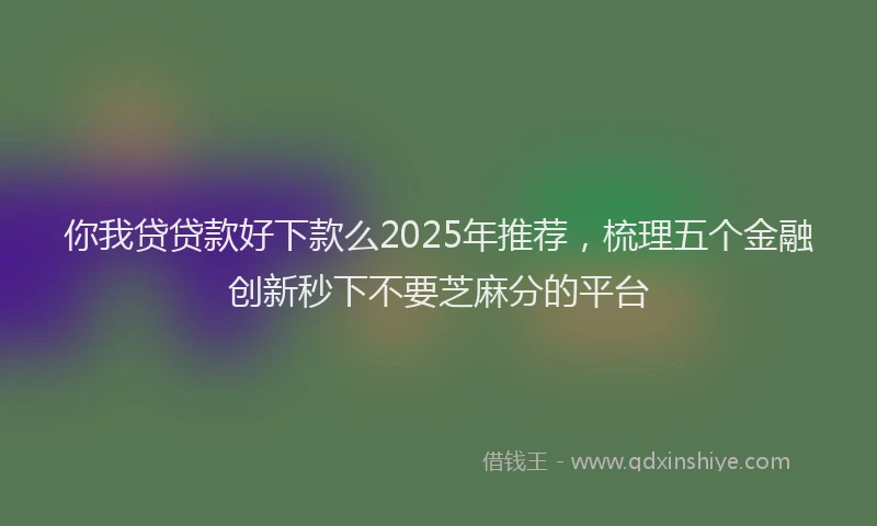 你我贷贷款好下款么2025年推荐，梳理五个金融创新秒下不要芝麻分的平台