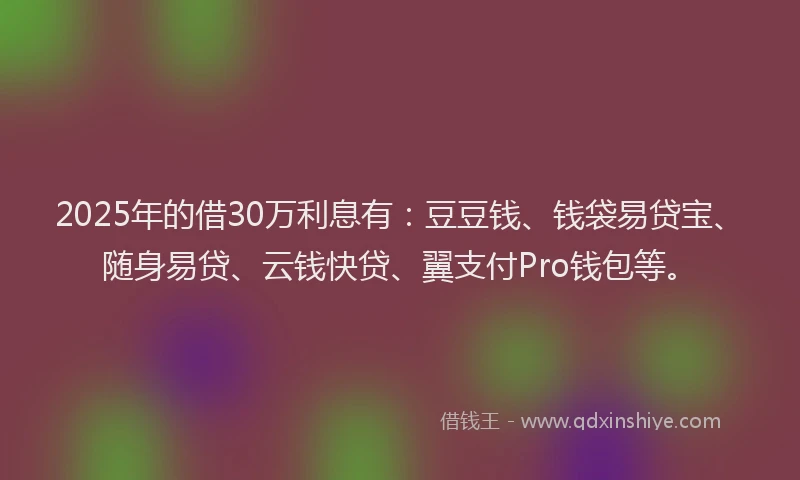 2025年的借30万利息有：豆豆钱、钱袋易贷宝、随身易贷、云钱快贷、翼支付Pro钱包等。