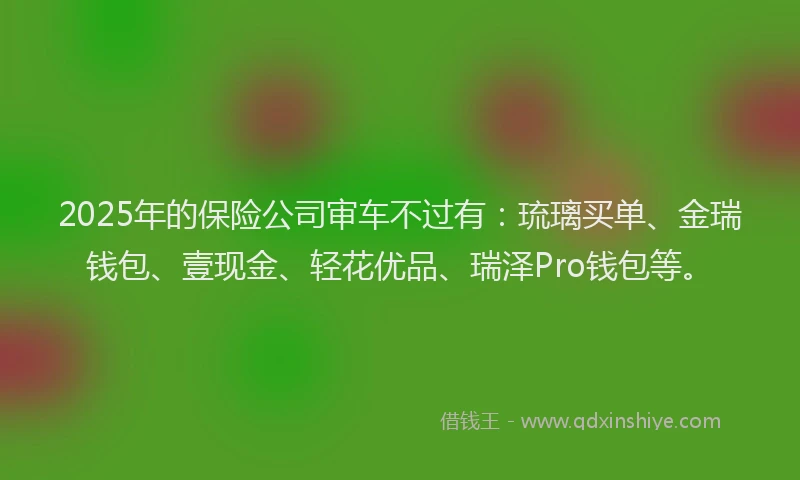2025年的保险公司审车不过有：琉璃买单、金瑞钱包、壹现金、轻花优品、瑞泽Pro钱包等。