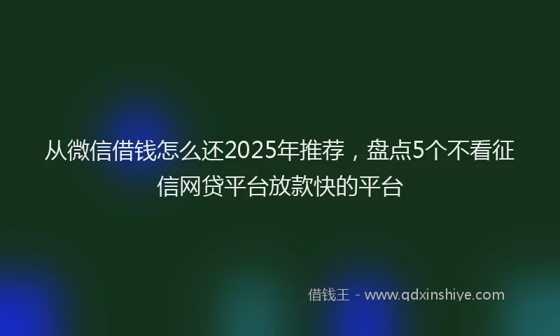 从微信借钱怎么还2025年推荐，盘点5个不看征信网贷平台放款快的平台