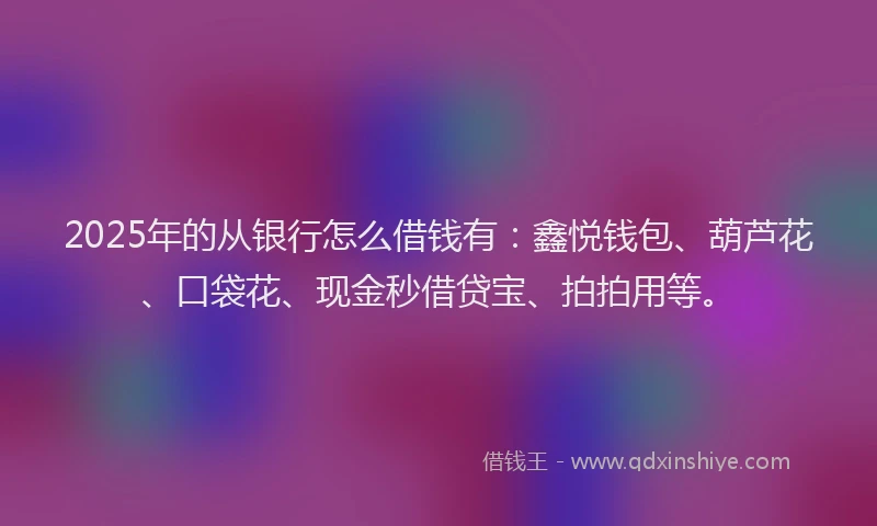 2025年的从银行怎么借钱有：鑫悦钱包、葫芦花、口袋花、现金秒借贷宝、拍拍用等。