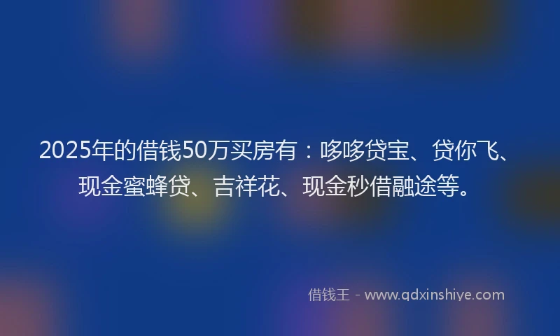 2025年的借钱50万买房有：哆哆贷宝、贷你飞、现金蜜蜂贷、吉祥花、现金秒借融途等。