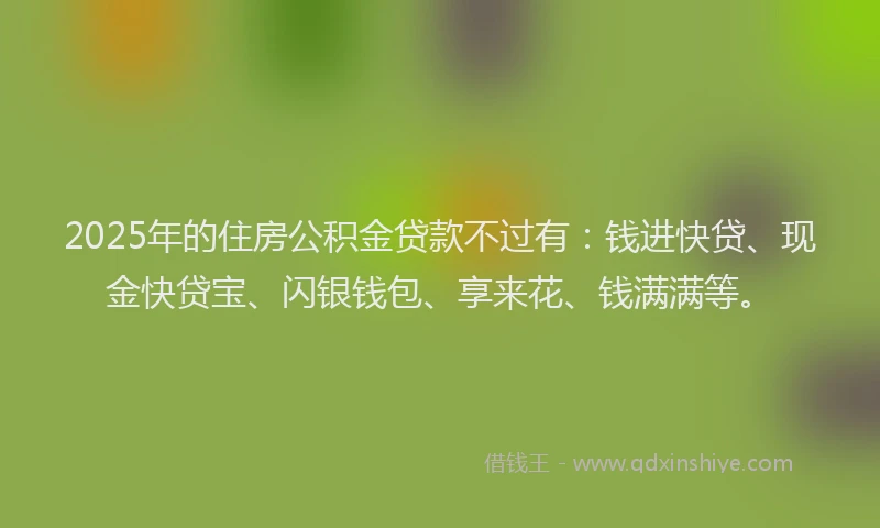 2025年的住房公积金贷款不过有：钱进快贷、现金快贷宝、闪银钱包、享来花、钱满满等。