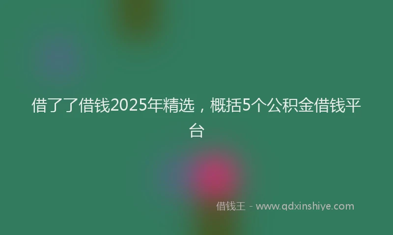 借了了借钱2025年精选，概括5个公积金借钱平台