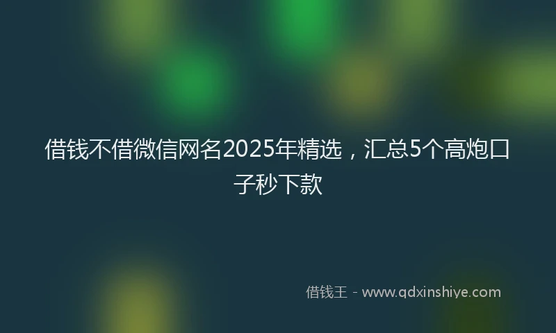 借钱不借微信网名2025年精选，汇总5个高炮口子秒下款