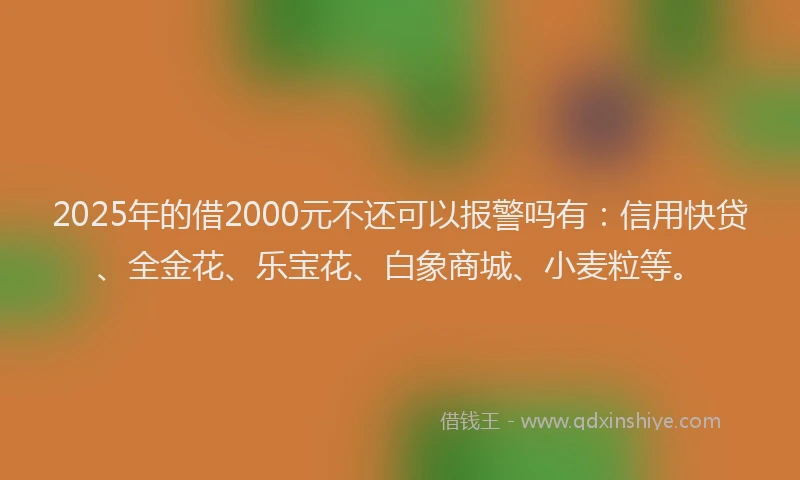 2025年的借2000元不还可以报警吗有：信用快贷、全金花、乐宝花、白象商城、小麦粒等。