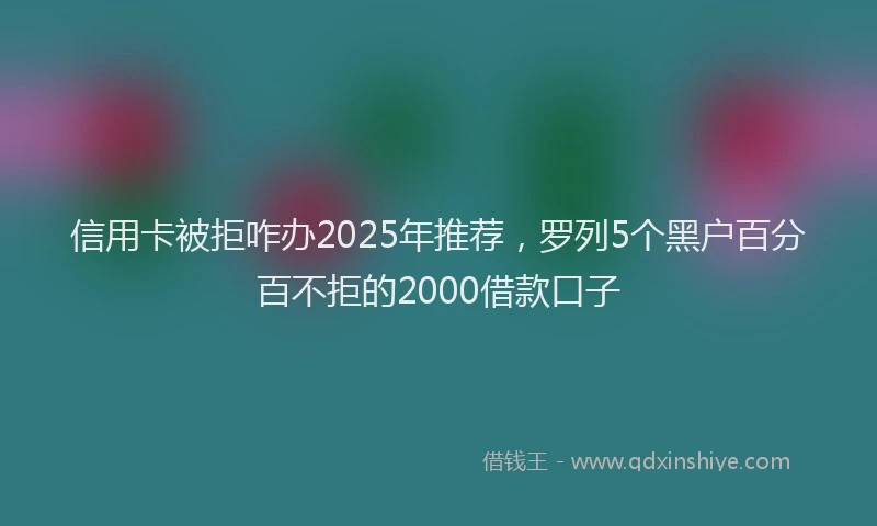 信用卡被拒咋办2025年推荐，罗列5个黑户百分百不拒的2000借款口子
