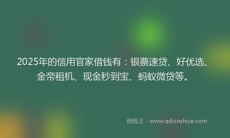 2025年的信用官家借钱有：银票速贷、好优选、金帝租机、现金秒到宝、蚂蚁微贷等。