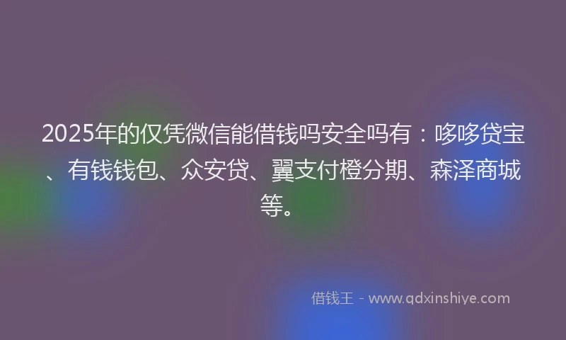 2025年的仅凭微信能借钱吗安全吗有：哆哆贷宝、有钱钱包、众安贷、翼支付橙分期、森泽商城等。