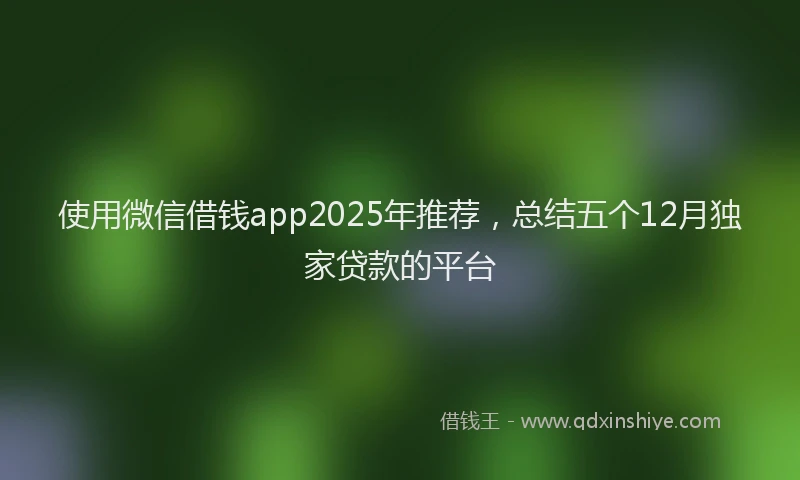 使用微信借钱app2025年推荐，总结五个12月独家贷款的平台