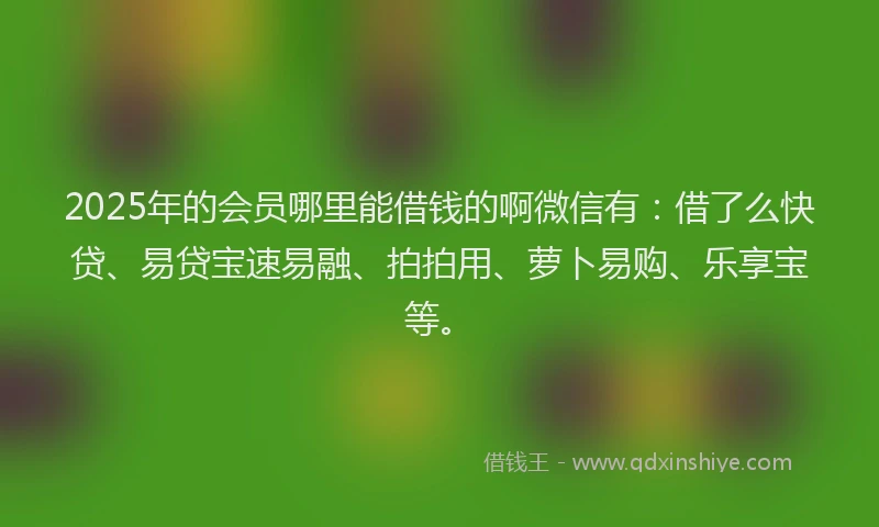 2025年的会员哪里能借钱的啊微信有：借了么快贷、易贷宝速易融、拍拍用、萝卜易购、乐享宝等。