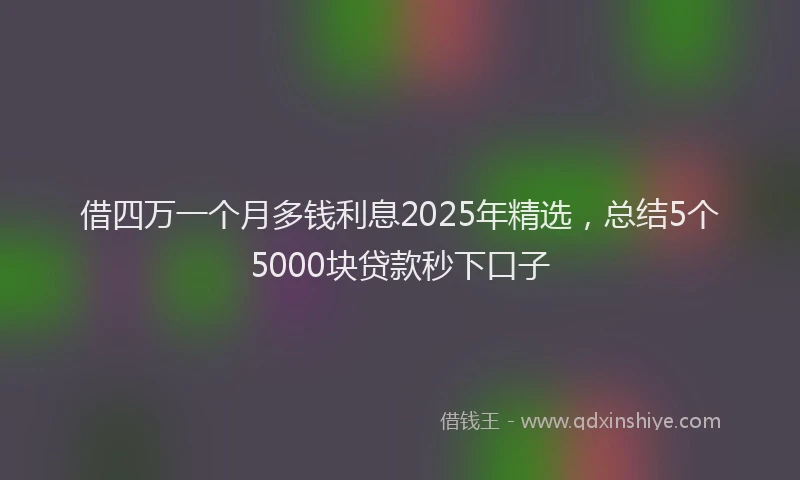 借四万一个月多钱利息2025年精选，总结5个5000块贷款秒下口子