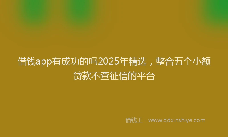借钱app有成功的吗2025年精选，整合五个小额贷款不查征信的平台