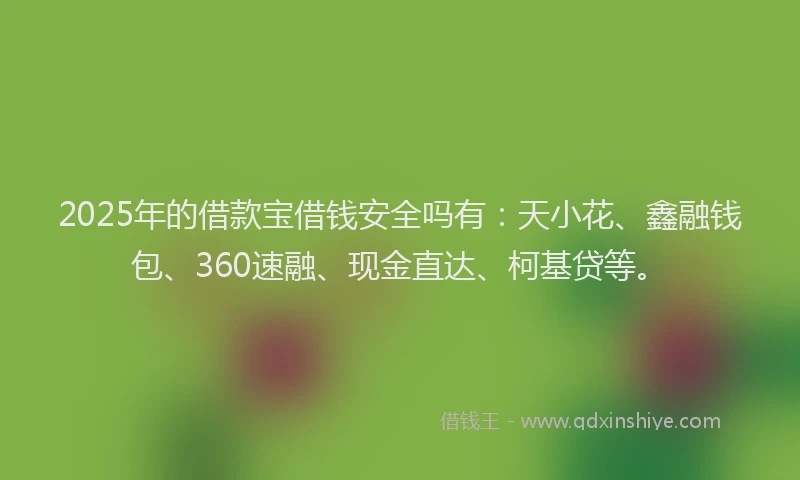 2025年的借款宝借钱安全吗有：天小花、鑫融钱包、360速融、现金直达、柯基贷等。