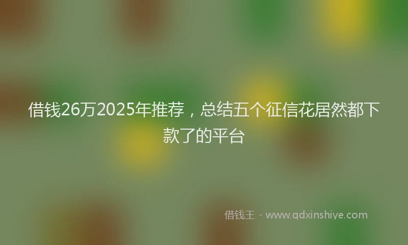借钱26万2025年推荐，总结五个征信花居然都下款了的平台
