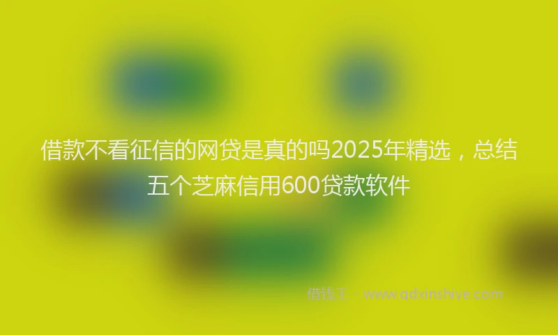 借款不看征信的网贷是真的吗2025年精选，总结五个芝麻信用600贷款软件