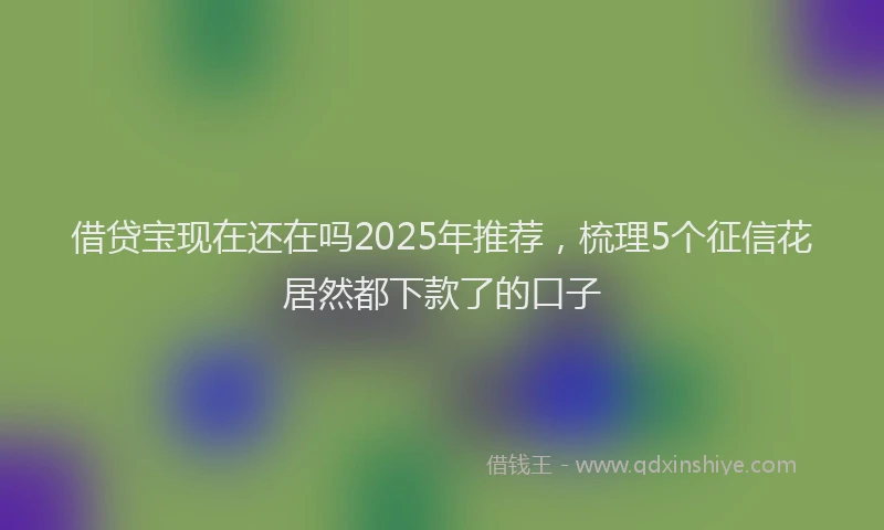 借贷宝现在还在吗2025年推荐，梳理5个征信花居然都下款了的口子