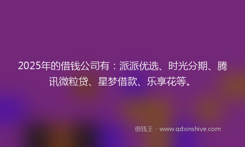 2025年的借钱公司有：派派优选、时光分期、腾讯微粒贷、星梦借款、乐享花等。