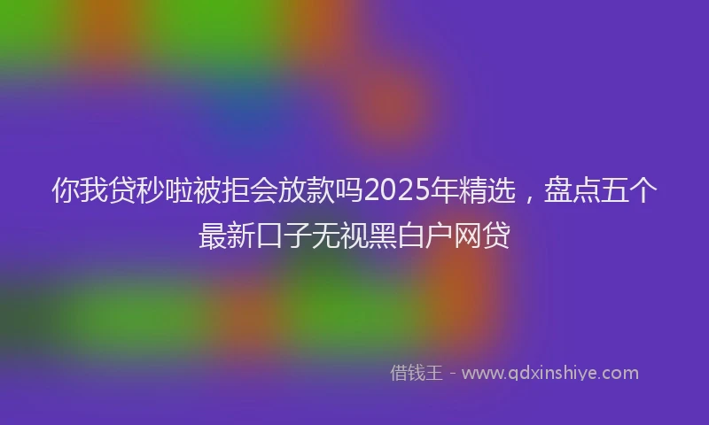 你我贷秒啦被拒会放款吗2025年精选，盘点五个最新口子无视黑白户网贷