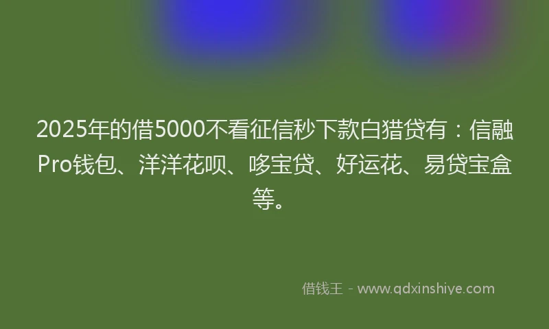 2025年的借5000不看征信秒下款白猎贷有：信融Pro钱包、洋洋花呗、哆宝贷、好运花、易贷宝盒等。