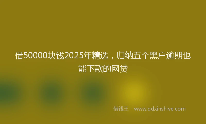 借50000块钱2025年精选，归纳五个黑户逾期也能下款的网贷