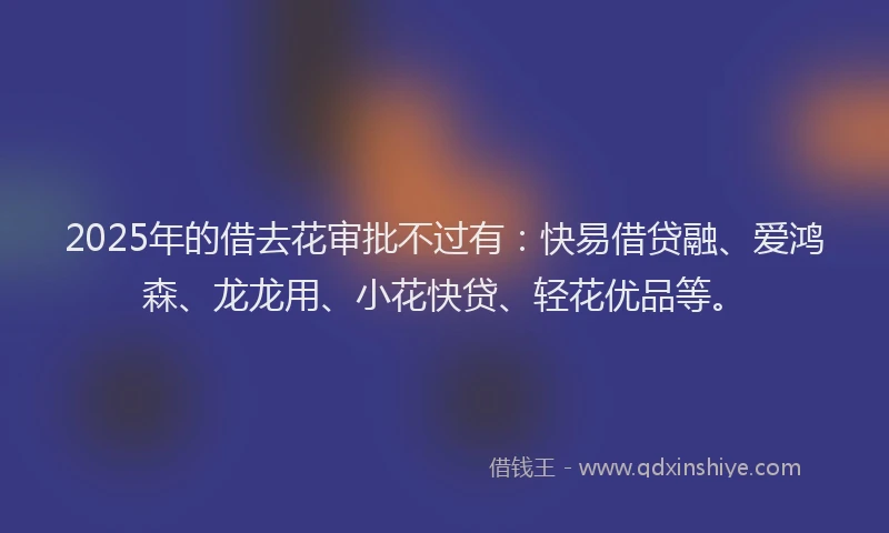 2025年的借去花审批不过有：快易借贷融、爱鸿森、龙龙用、小花快贷、轻花优品等。