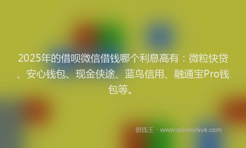 2025年的借呗微信借钱哪个利息高有：微粒快贷、安心钱包、现金侠途、蓝鸟信用、融通宝Pro钱包等。