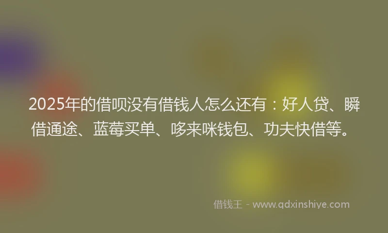 2025年的借呗没有借钱人怎么还有：好人贷、瞬借通途、蓝莓买单、哆来咪钱包、功夫快借等。