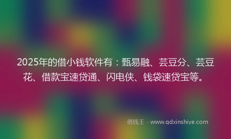 2025年的借小钱软件有：甄易融、芸豆分、芸豆花、借款宝速贷通、闪电侠、钱袋速贷宝等。
