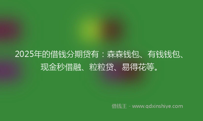 2025年的借钱分期贷有：森森钱包、有钱钱包、现金秒借融、粒粒贷、易得花等。