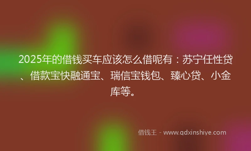 2025年的借钱买车应该怎么借呢有：苏宁任性贷、借款宝快融通宝、瑞信宝钱包、臻心贷、小金库等。