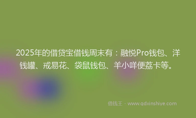 2025年的借贷宝借钱周末有：融悦Pro钱包、洋钱罐、戒易花、袋鼠钱包、羊小咩便荔卡等。