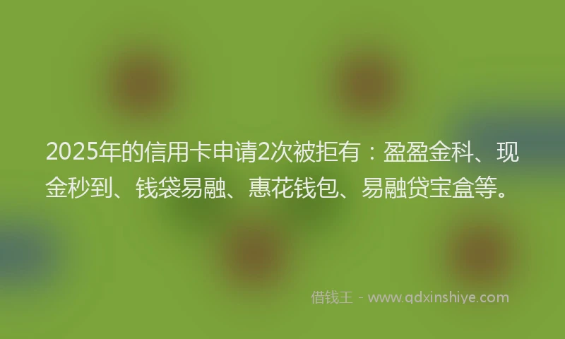 2025年的信用卡申请2次被拒有：盈盈金科、现金秒到、钱袋易融、惠花钱包、易融贷宝盒等。