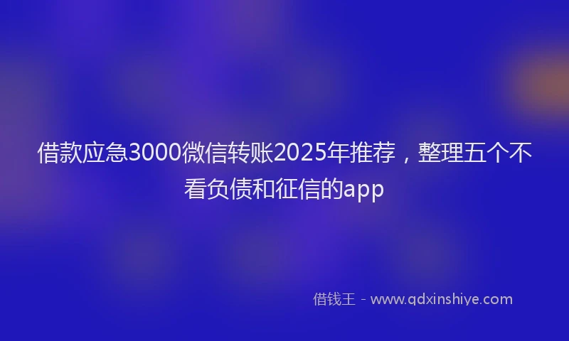 借款应急3000微信转账2025年推荐，整理五个不看负债和征信的app