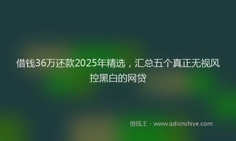 借钱36万还款2025年精选，汇总五个真正无视风控黑白的网贷